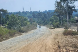 Mục sở thị con đường hơn trăm tỉ đang bị bỏ hoang 