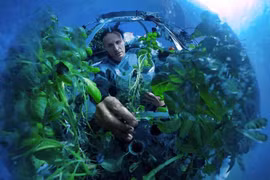 Choáng ngợp khung cảnh bên trong vườn rau dưới đáy biển