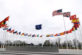 Phần Lan, Thụy Điển gia nhập NATO: Cách đối phó của Nga