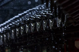 Đẹp nao lòng ngày mưa tại "Nam Đô đệ nhất viên" ở Trung Quốc