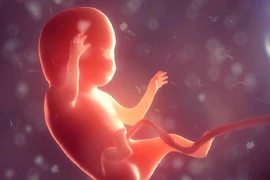 Phát hiện bào thai trong hộp sọ của em bé 1 tuổi