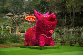 Điểm đến mới hấp dẫn với 3 kỷ lục Việt Nam