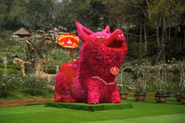 Điểm đến mới hấp dẫn với 3 kỷ lục Việt Nam