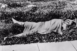 “Hoa thược dược đen”- vụ ám ảnh nhất Hollywood