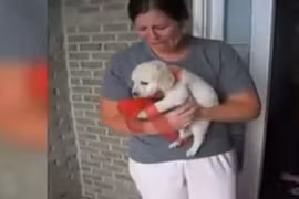 Khoảnh khắc xúc động khi nhận được quà Noel