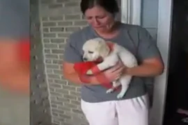 Khoảnh khắc xúc động khi nhận được quà Noel