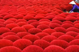 Các nước tất bật đón Tết, khoảnh khắc ở Việt Nam đẹp nao lòng