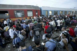 Hàng nghìn di dân chen lấn lên tàu đến Tây Âu