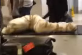 Danh tính "thi thể" nằm giữa sân bay khiến ai nấy hết hồn