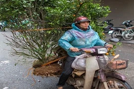 Người Việt chở đồ cồng kềnh bằng xe máy lên báo Anh