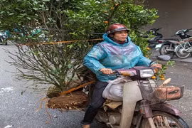 Người Việt chở đồ cồng kềnh bằng xe máy lên báo Anh