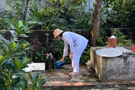 Hà Nội thêm 403 trường hợp mắc sốt xuất huyết trong 1 tuần