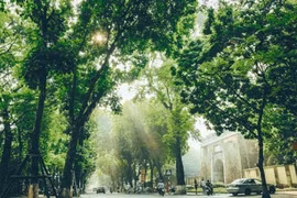 Thời tiết ngày 24/11: Đà Nẵng đến Bình Định mưa to, cảnh báo ngập