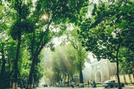 Thời tiết ngày 24/11: Đà Nẵng đến Bình Định mưa to, cảnh báo ngập