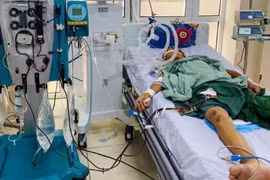 Người đàn ông ở Hà Nội nguy kịch sau giết mổ lợn