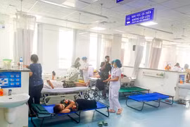 Bộ Y tế chỉ đạo làm rõ vụ ngộ độc sau ăn bánh mỳ