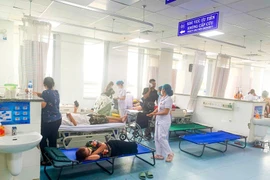 Bộ Y tế chỉ đạo làm rõ vụ ngộ độc sau ăn bánh mỳ