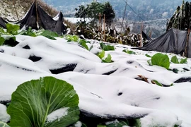 Thời tiết ngày 27/12: Miền Bắc có nơi rét đậm rét hại