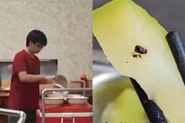 Vụ sinh viên Bách khoa ăn cơm canh thừa: Nhiều mối nguy tiềm ẩn