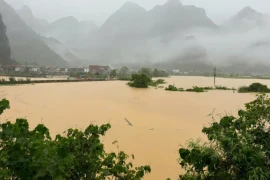 Mưa lớn, các tỉnh miền núi phía Bắc ngập sâu, sạt lở nghiêm trọng