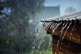 Thời tiết ngày 12/11: Thừa Thiên Huế đến Phú Yên có mưa vừa, mưa to