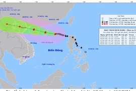 Tỉnh thành nào chịu tác động mạnh của bão số 3?