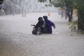 Thời tiết ngày 8/11: Trung Bộ mưa rào, Nam Bộ chiều tối có mưa to 