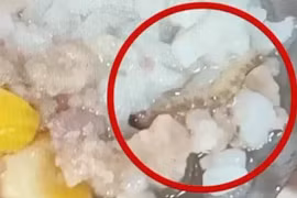 Vụ SV ĐHBK Hà Nội ăn cơm canh thừa, trách nhiệm thuộc về ai? 