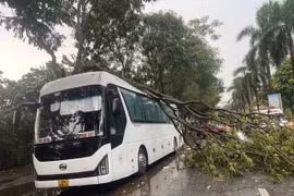 Hà Nội: Đảm bảo giao thông khi mưa to, gió lớn 
