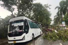 Hà Nội: Đảm bảo giao thông khi mưa to, gió lớn 