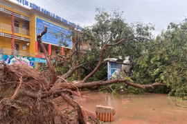 Sở GD&ĐT Hà Nội: Trường học cần chủ động dạy học trực tuyến 