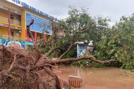 Sở GD&ĐT Hà Nội: Trường học cần chủ động dạy học trực tuyến 