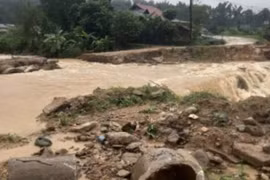 Điện Biên: Mưa lũ khiến 5 bản thuộc huyện Mường Ảng bị cô lập