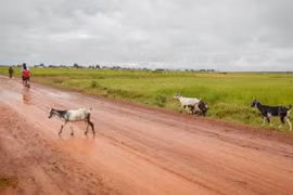 Thời tiết ngày 13/10: Miền Nam vẫn mưa lớn