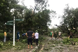 Các trường ĐH hỗ trợ sinh viên bị ảnh hưởng của bão lũ