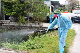 Hà Nội: Ghi nhận 585 ca mắc sốt xuất huyết trong 1 tuần