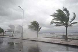 Thời tiết ngày 19/11: Bắc Bộ chuyển rét về đêm và sáng sớm