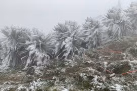 Miền Bắc chuyển rét đậm, rét hại, có nơi dưới 5 độ