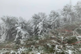 Miền Bắc chuyển rét đậm, rét hại, có nơi dưới 5 độ