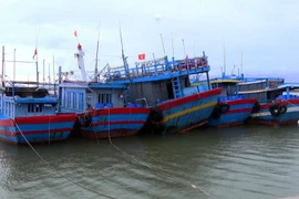 Bộ GTVT yêu cầu các đơn vị trực 24/24 ứng phó với bão