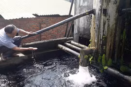 Hà Nội: Phạt hàng loạt cơ sở kinh doanh vi phạm an toàn thực phẩm