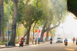 Thời tiết ngày 1/12: Bắc Bộ ngày nắng, đêm rét