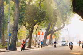 Thời tiết ngày 1/12: Bắc Bộ ngày nắng, đêm rét