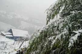 Thời tiết ngày 15/12: Bắc Bộ và Bắc Trung Bộ trời rét đậm, có mưa 