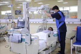 Người đàn ông nguy kịch vì ong vò vẽ đốt hơn 50 vết