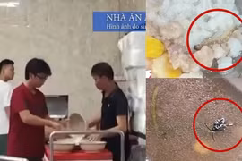 Vụ SV Bách khoa ăn cơm thừa: Bộ GD&ĐT ra công văn “nóng“