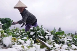 Thời tiết ngày 31/12: Miền Bắc có nơi rét đậm rét hại