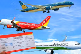 Mạo danh đại lý Vietnam Airlines bán vé máy bay Tết