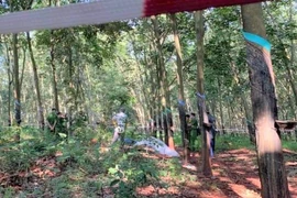 Thiếu nữ 16 tuổi chết lõa thể trong rừng cao su nghi bị hiếp dâm