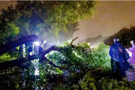 Bão số 5 giật mạnh đổ bộ thổi bay nóc nhà, cây cối gãy đổ hàng loạt ở miền Trung